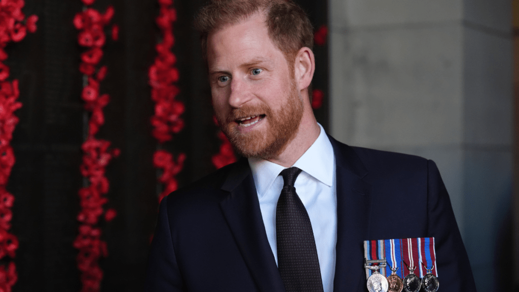 Prince Harry Clarifies Why He Still Uses His Royal Title as His Occupation