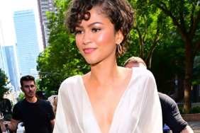 Zendaya's Dangerously Plunging Top Gets an Ultra-Revealing Twist
