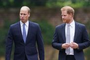 Prince Harry’s 5-Word ‘Peace Offering’ to Prince William — Insider