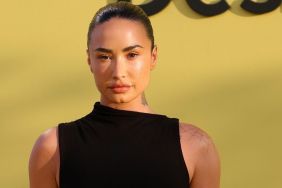 TikTok Creator Says Demi Lovato 'Confirmed' Clone Theory After Response