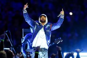 Eminem’s Ex-Wife Bites Cop Following Alleged Suicide Attempt — Report