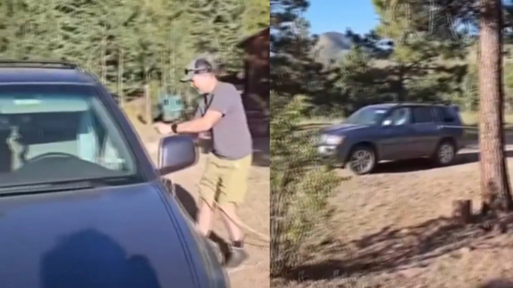 Colorado Man Finds Massive Animal Trapped SUV Car Gold Hill Bear