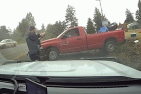 Driver Without Clothes Woman Runs Over Mother Family Dog Police Chase Video Washington