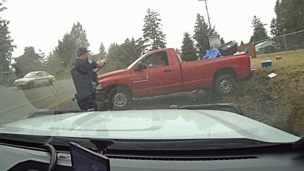 Driver Without Clothes Woman Runs Over Mother Family Dog Police Chase Video Washington