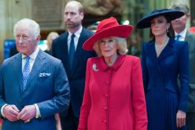 Story of Why Queen Camilla Succeeded Where Kate Middleton Didn't Resurfaces in New Report