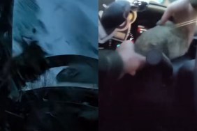 Man Throws Giant Rock Police Car Window Runs Away