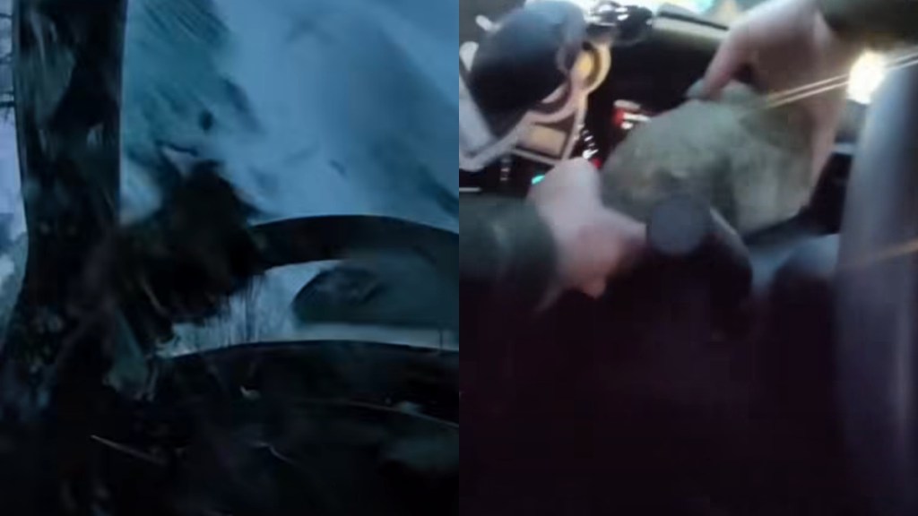 Man Throws Giant Rock Police Car Window Runs Away