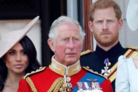 King Charles' Real Feelings About Meghan Markle's Diana Post Revealed — Insider