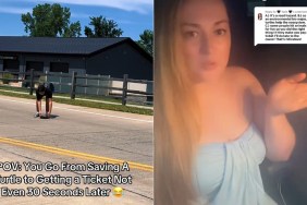 Mother Receives Ticket After Daughters Rescue Turtle Off Road Missouri