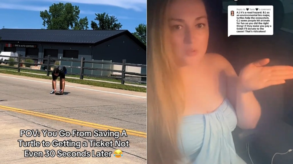 Mother Receives Ticket After Daughters Rescue Turtle Off Road Missouri