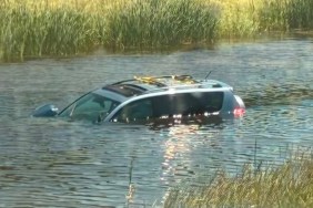 Senior Woman Dog Nearly Drown SUV Rescue Two Men Canada