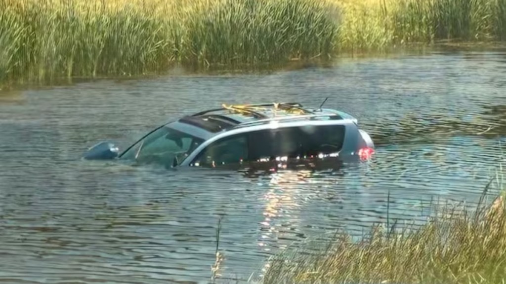 Senior Woman Dog Nearly Drown SUV Rescue Two Men Canada