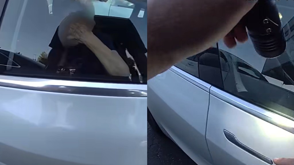 Tesla Trap Grandmother 100 Degree Heat Police Washington