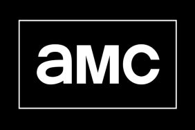 AMC Series Canceled After 1 Season Is Dominating on Streaming Now