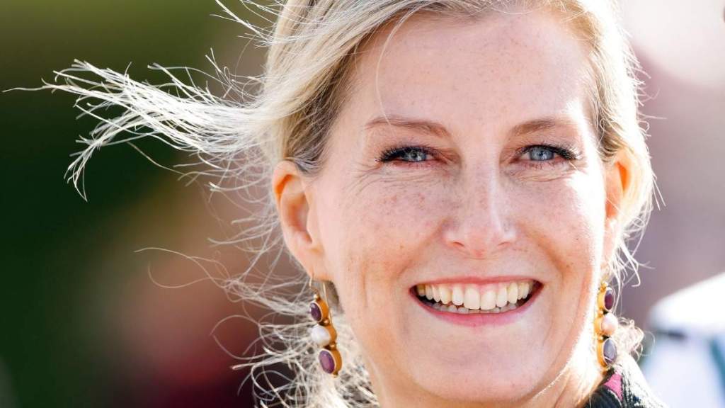 Duchess Sophie's New Role Revives Talk of an Unexpected Prince Harry Reunion