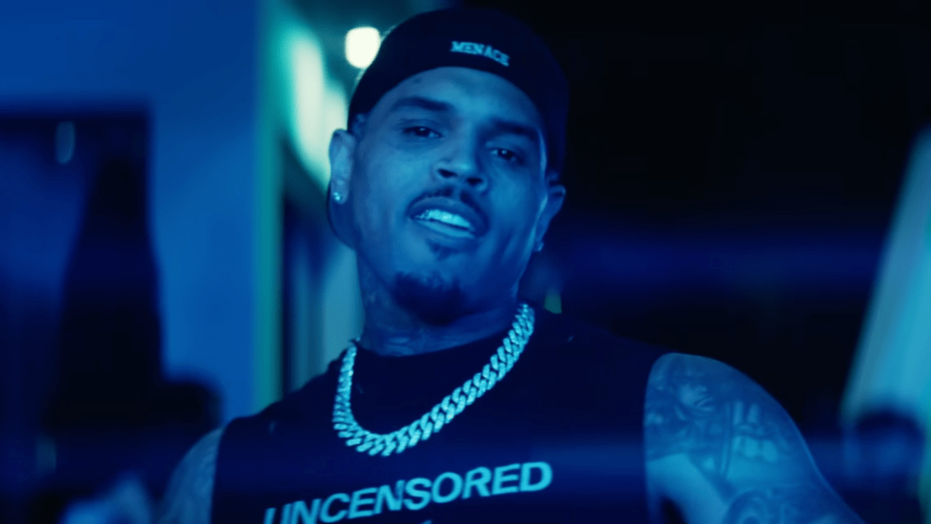Chris Brown Moves to Overturn $13 Million Verdict in Dog Bite Lawsuit