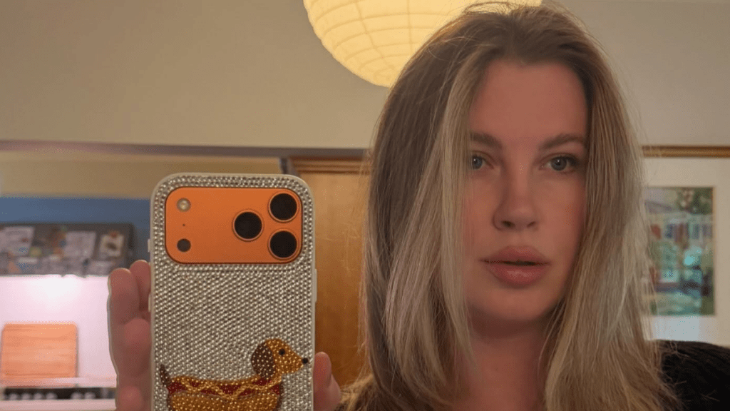 Ireland Baldwin Reacts to Former Foe Perez Hilton’s Hospitalization
