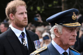 Palace On High Alert Over Prince Harry’s Next Possible Move — Source