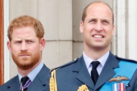 PRINCE WILLIAM