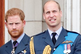 prince william