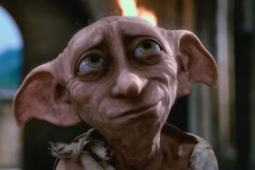 Harry potter dobby grave