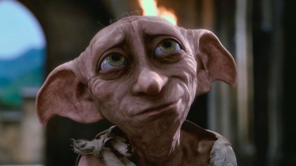 Harry potter dobby grave