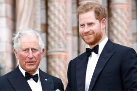 King Charles & Prince Harry’s Feelings Regarding Another Royal Reunion Revealed — Source