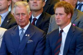 Prince Harry Has a ‘Now or Never’ Chance To Win Back King Charles — Source