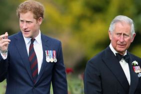 King Charles Faces Explosive Warning Over Prince Harry’s Big Ask — Report