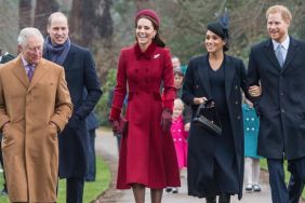 King Charles To Make Harry & Meghan’s Royal Dream Come True After UK Return — Report