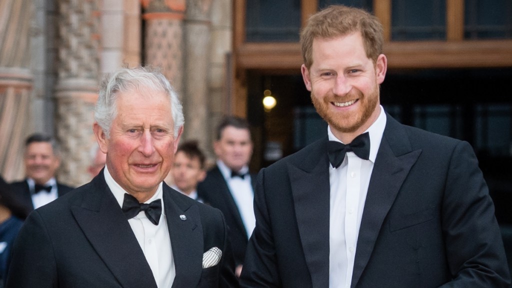Prince Harry’s Money Fears Meet King Charles’ ‘Fair Division’ Plan — Expert