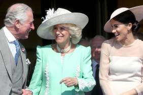 Meghan Markle One-Ups King Charles in One Business Metric — Report