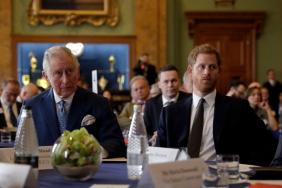 Prince Harry's Painful Admission About King Charles Resurfaces After Reunion