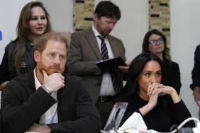 Prince Harry & Meghan Markle Just Got Upstaged by a Cat Video at the Box Office — Report
