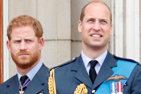 Prince William May Soon Find Harry’s Return to Britain Hard To Ignore — Correspondent