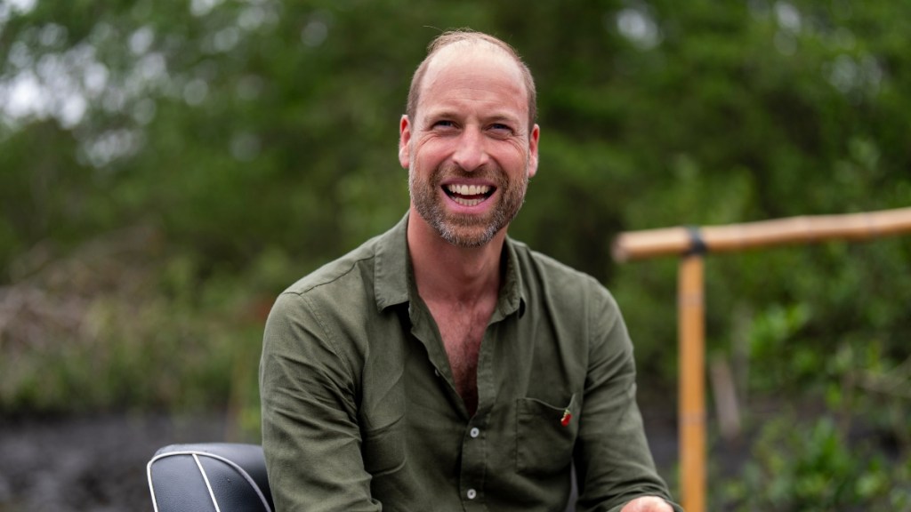 Prince William Draws Princess Anne’s Fire as Royal Feud Drags On — Insider
