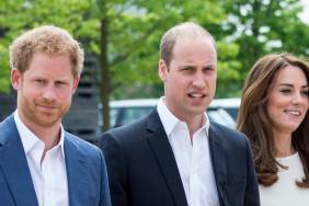 Prince Harry ‘Misses’ Prince William but Believes He Can Be ‘Vengeful’ — Source