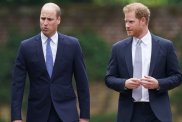 Prince William & Prince Harry Could Reunite but Still Be ‘Miles Apart’ — Source