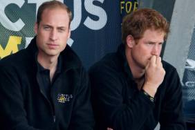 Prince William's Feelings About Prince Harry Reunion Revealed — Insider