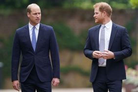 Prince William & Prince Harry Accused of 'Spying on Each Other' as Chaos Grows — Insider