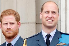 Prince William 'Won't Dance to Harry's Tune' & This Snub Proves It — Author