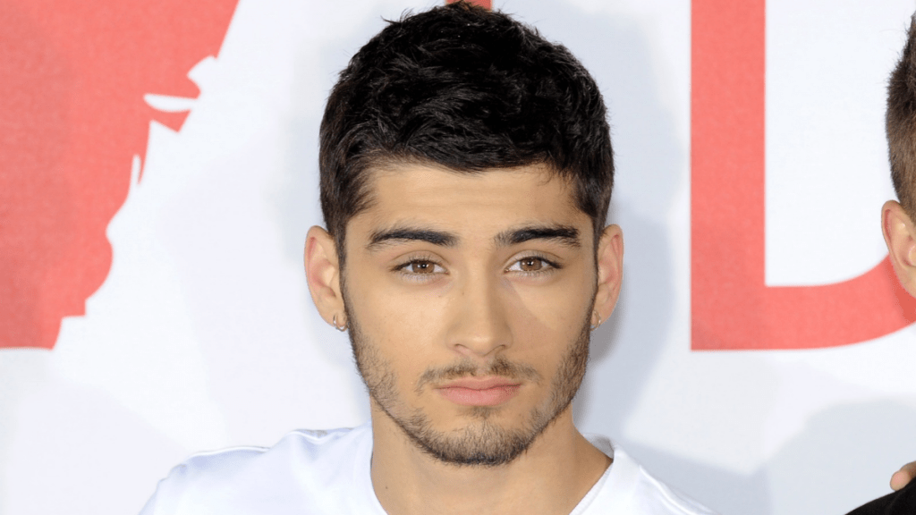 Zayn Malik Isn't Hiding the Message Behind His Latest T-Shirt