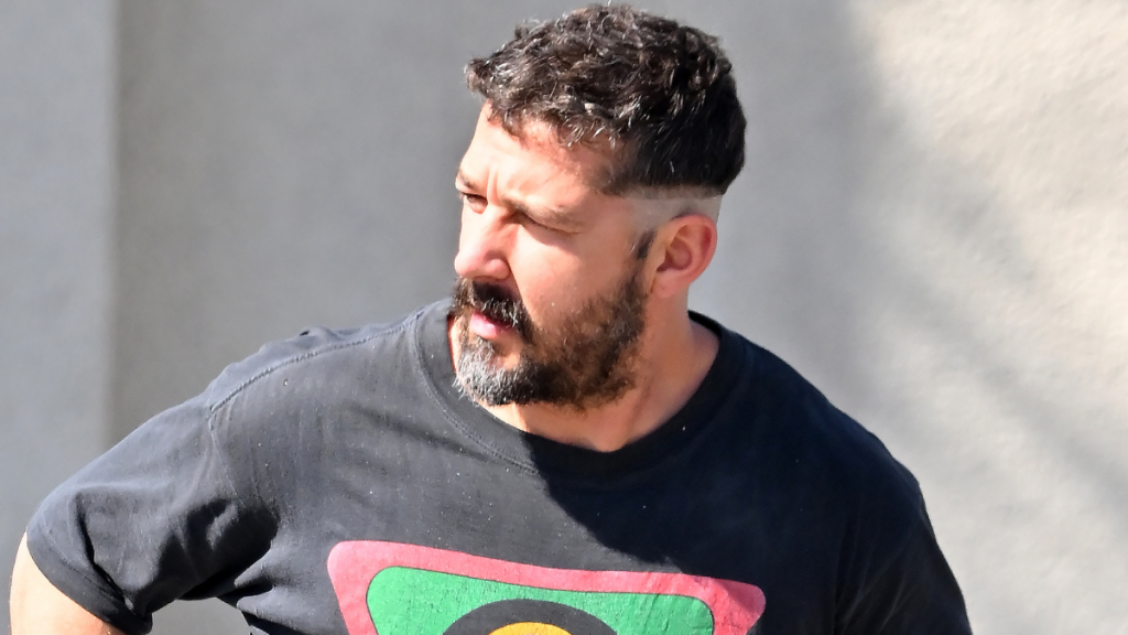 Shia LaBeouf Reveals Daily Drinking Months After Troubling Mardi Gras Arrest