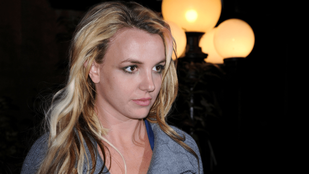 Britney Spears Accuses ‘Secret Paparazzi’ of Posing as Housekeeper