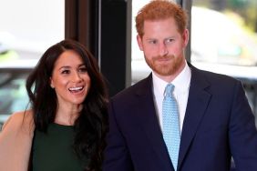 Prince Harry’s Role in Meghan Markle’s 'Ill-Timed' Move Raises Eyebrows — Source