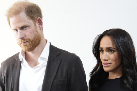 Divide & Rule Author Blames Prince Harry and Meghan Markle for the Crown's Crisis