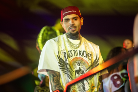 Chris Brown Concert Fan Fires Back at Critics After Wild Stage Moment