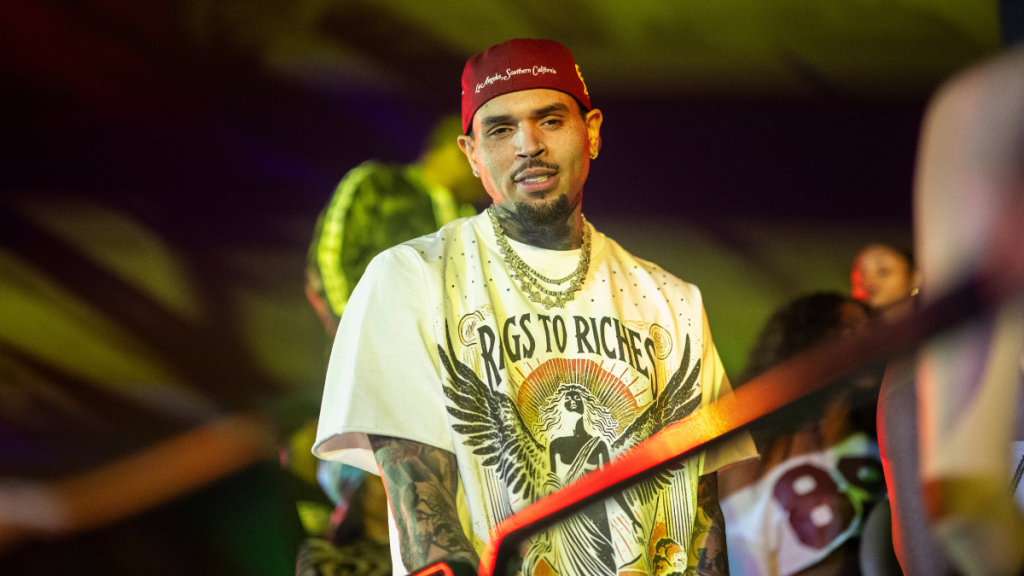 Chris Brown Concert Fan Fires Back at Critics After Wild Stage Moment