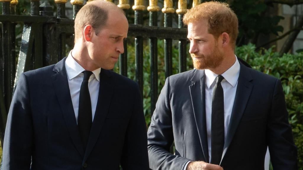 Prince William 'Loathed' One Childhood Link With Prince Harry — Report