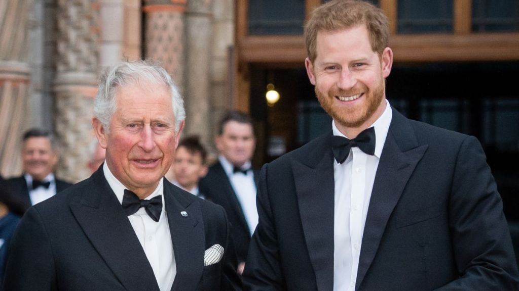 Prince Harry's 'Tactless' King Charles Comment Resurfaces Amid Rumors — Report